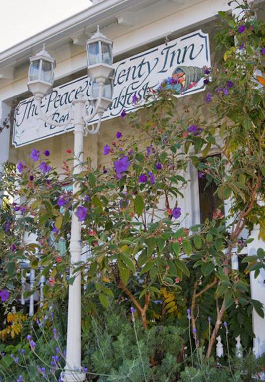 Peace And Plenty Inn Auckland Exterior foto